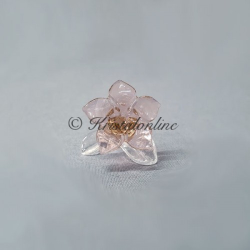 Swarovski Kristal | SCS | Leden Geschenken | SCS - Ledengeschenk 2021 - Woestijnroos | 5557914
